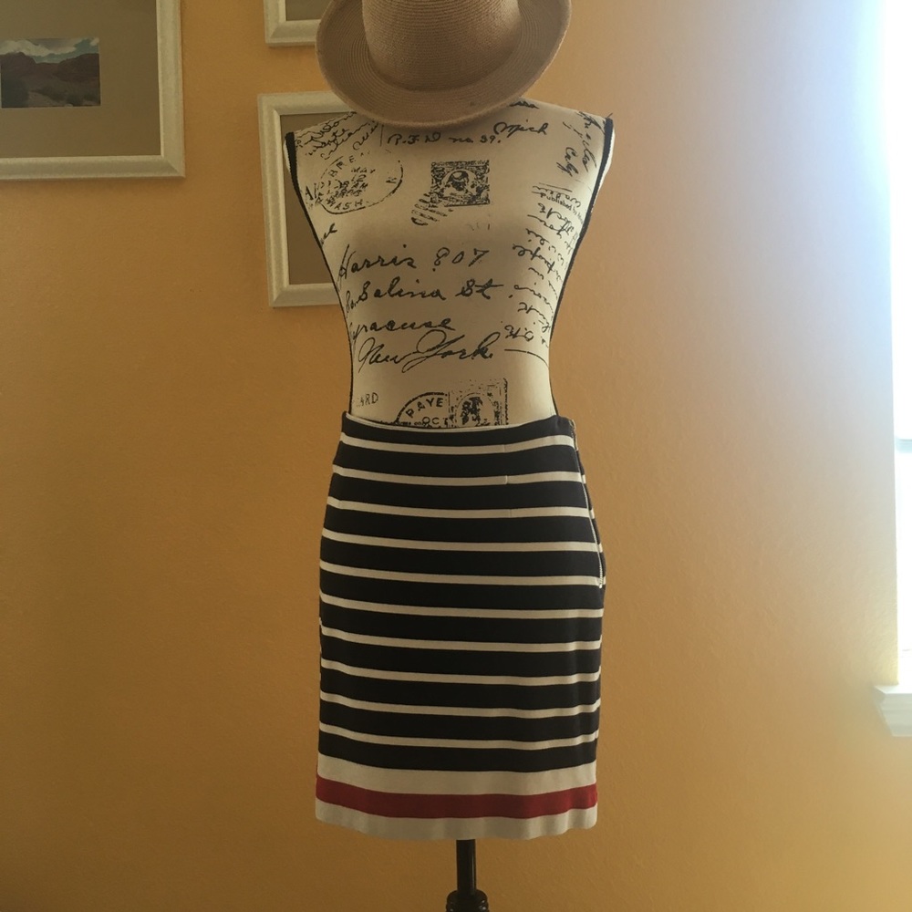 Banana Republic Blue Skirt